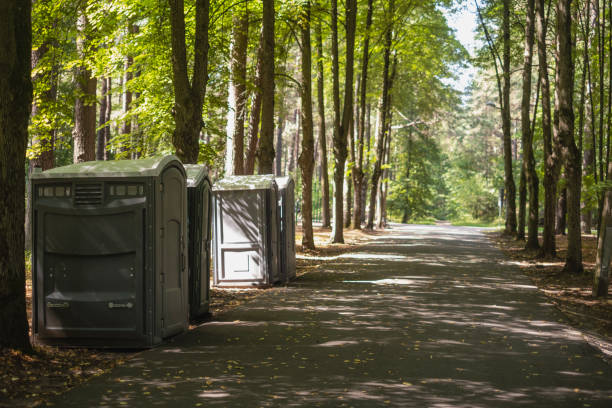 Best Local porta potty services  in Lovington, IL